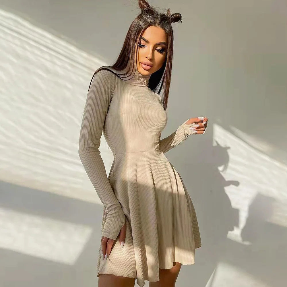 ”Excuse Me Miss” Elegant Long Sleeve Turtleneck Mini Dress