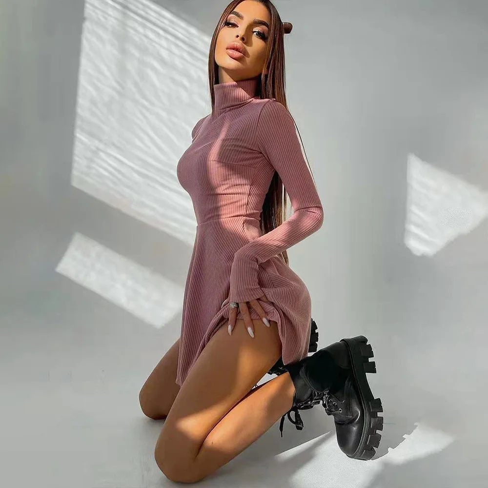 ”Excuse Me Miss” Elegant Long Sleeve Turtleneck Mini Dress