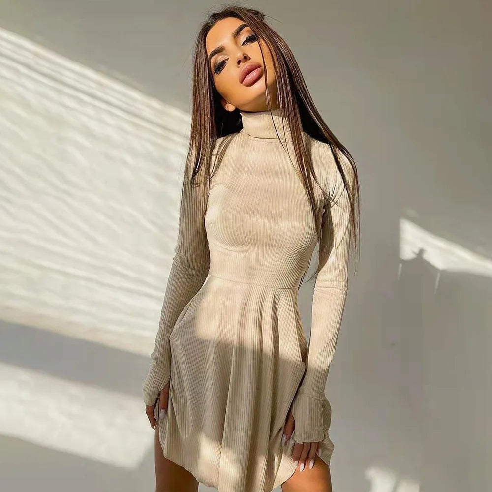 ”Excuse Me Miss” Elegant Long Sleeve Turtleneck Mini Dress