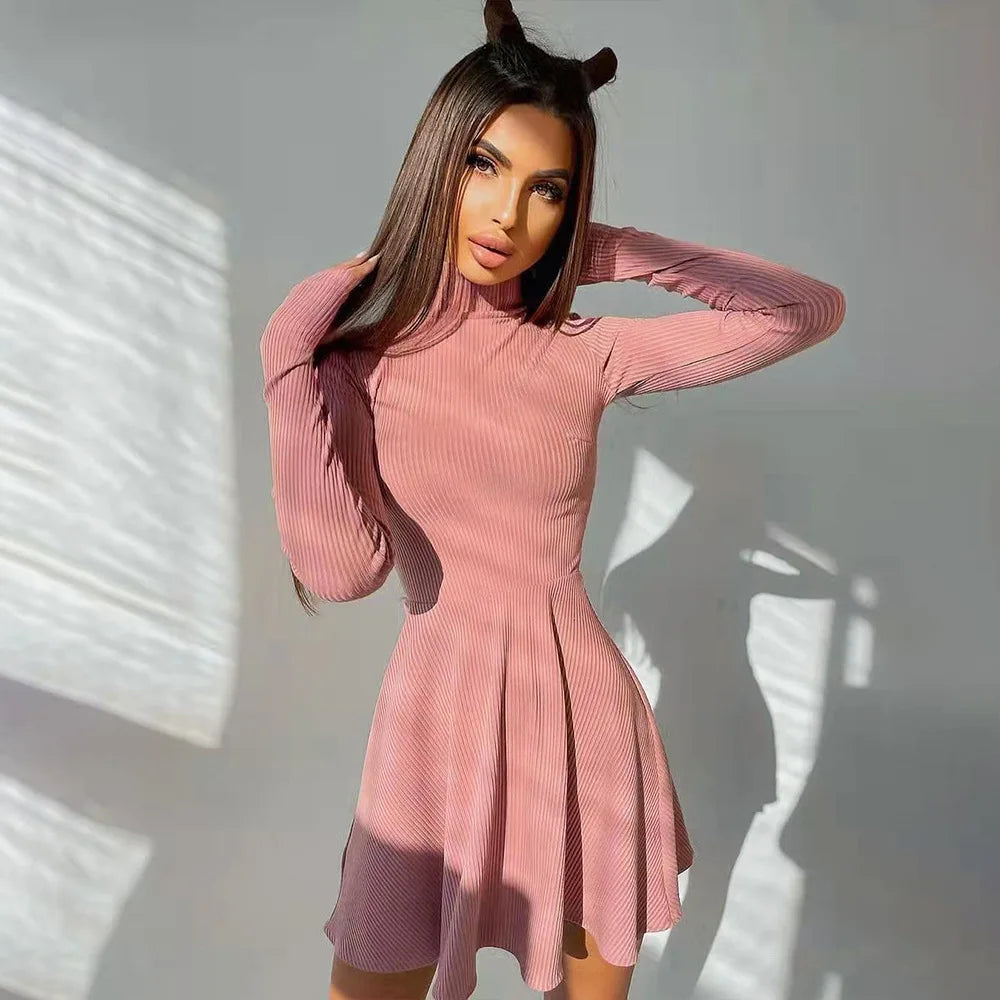 ”Excuse Me Miss” Elegant Long Sleeve Turtleneck Mini Dress