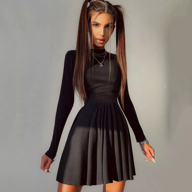 ”Excuse Me Miss” Elegant Long Sleeve Turtleneck Mini Dress
