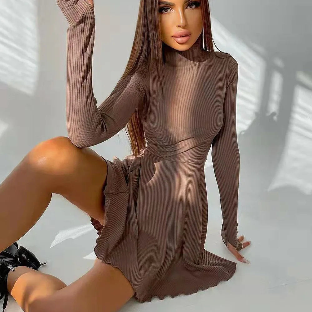 ”Excuse Me Miss” Elegant Long Sleeve Turtleneck Mini Dress