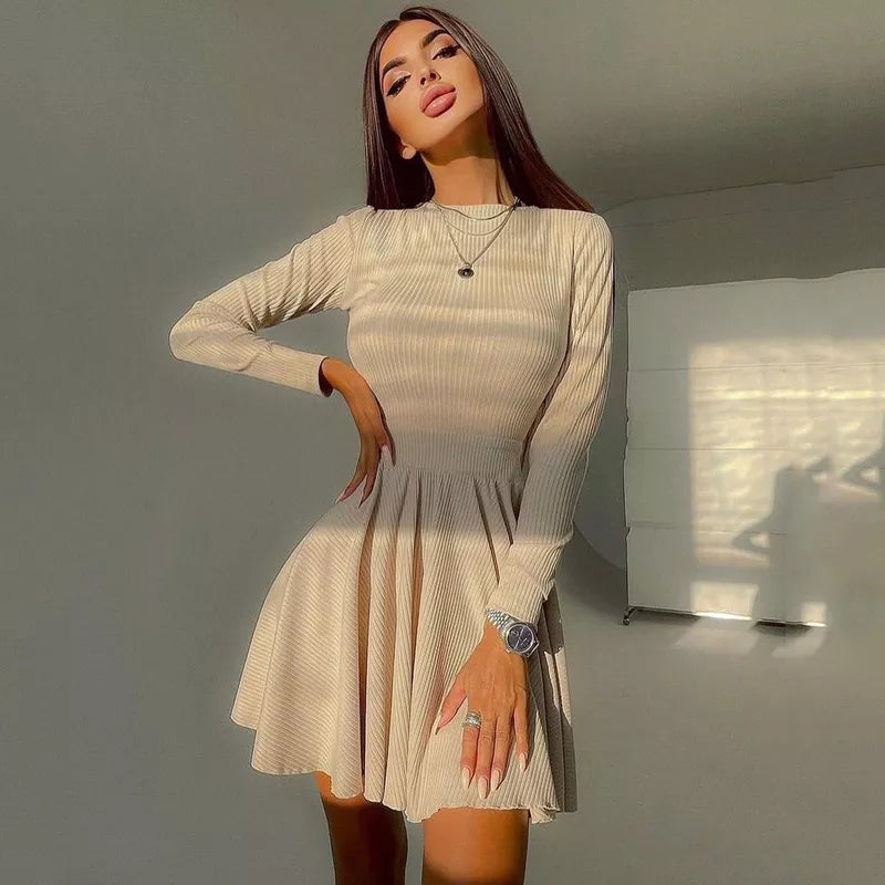 ”Excuse Me Miss” Elegant Long Sleeve Turtleneck Mini Dress