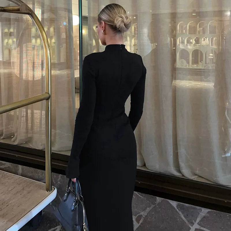 "Willow" Turtleneck Long Sleeve Maxi Dress